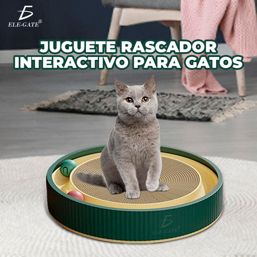 Cama Rascador Para Gatos + Envio Gratis