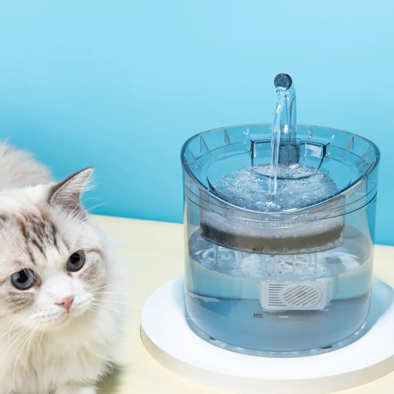 Fuente De Agua Cristal Para Mascotas + Envio Gatis