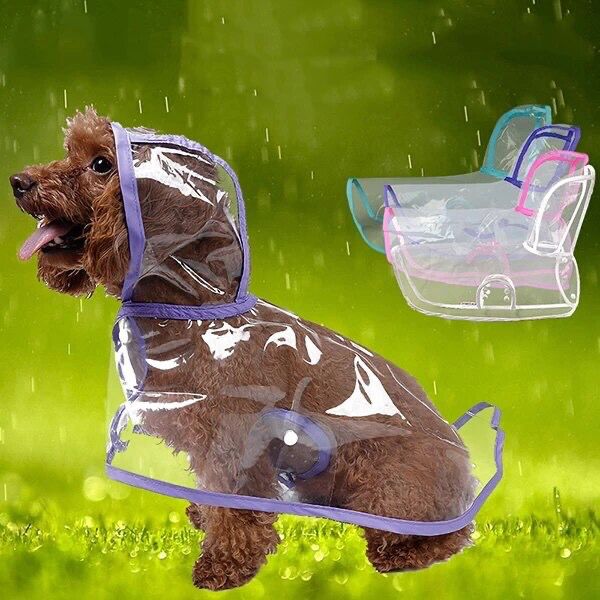 Capa De Lluvia Impermeable Para Mascotas + Envio Gratis