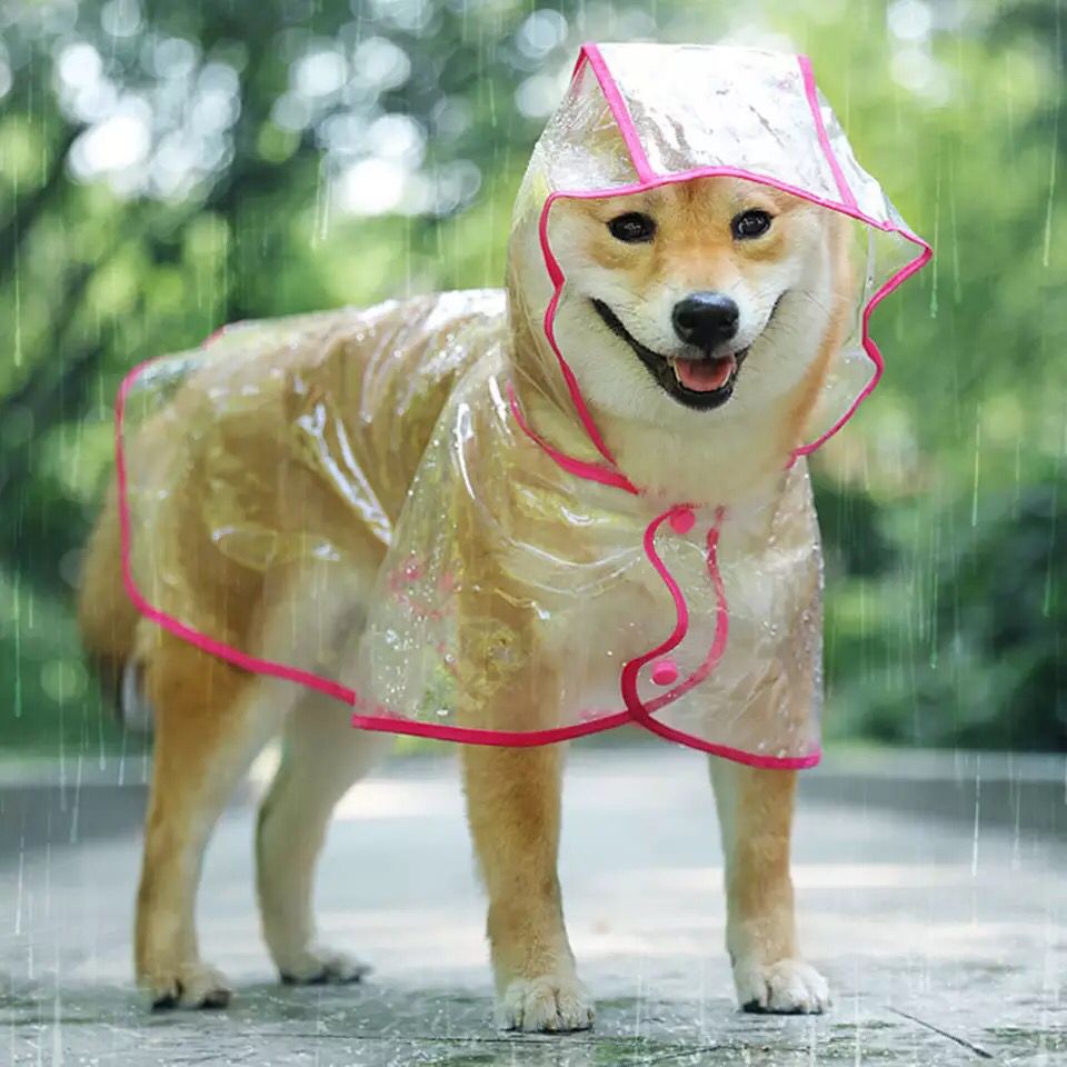 Capa De Lluvia Impermeable Para Mascotas + Envio Gratis