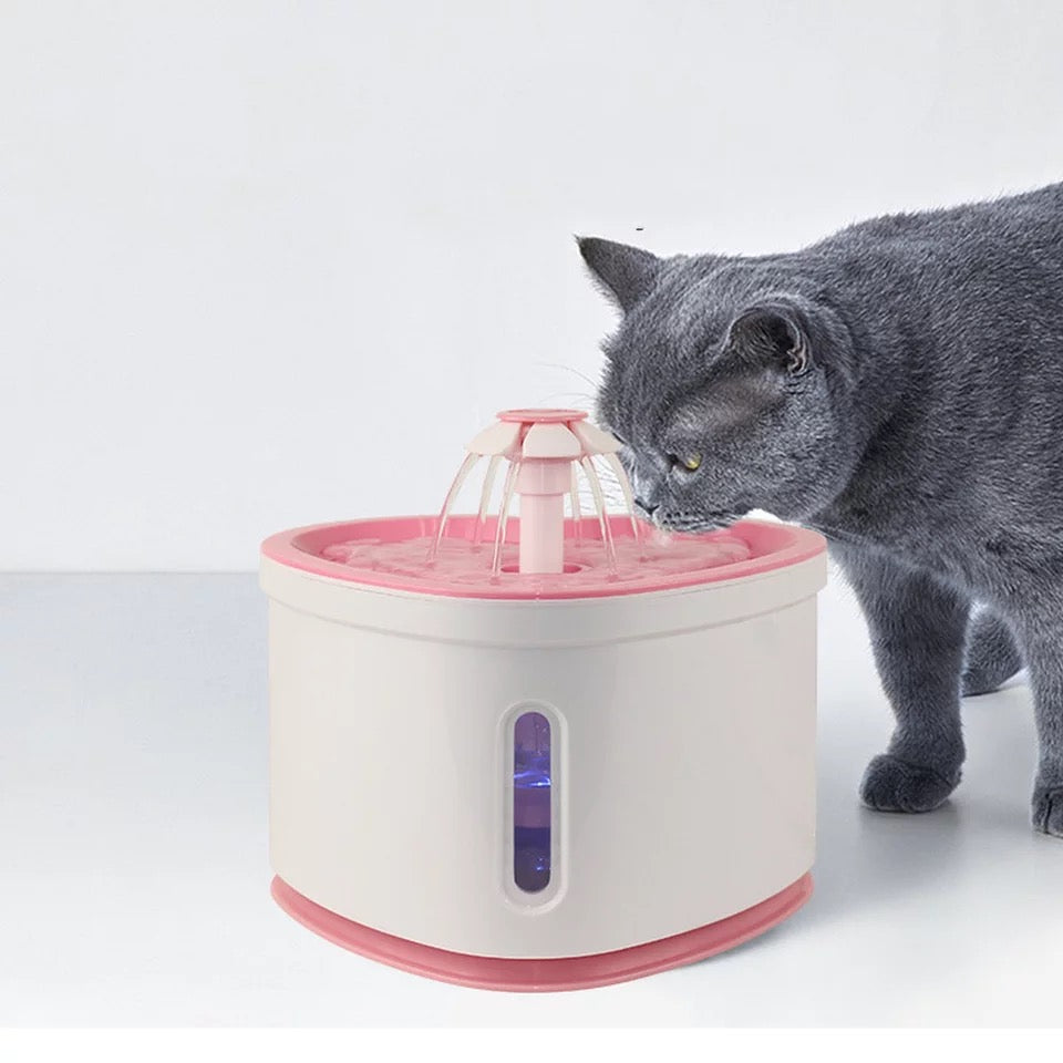 Fuente De Agua Para Gatos Con Forma De Corazón + Envío Gratis